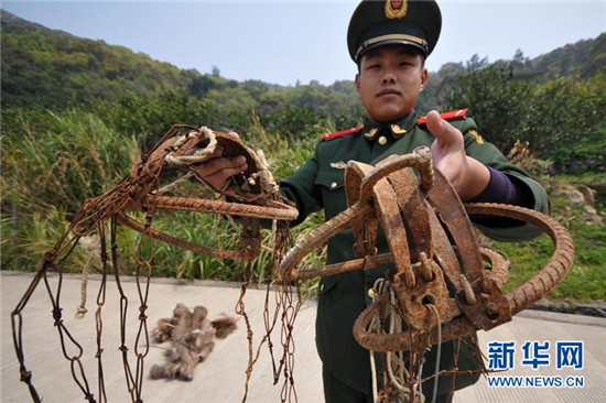 包含浙江新闻客户端鸡山边防的词条