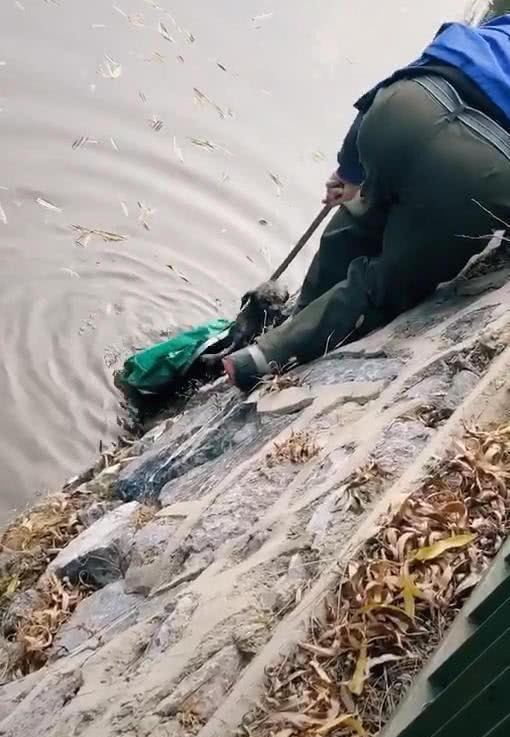 苹果掉水里新闻苹果手机掉水里正确处理方法