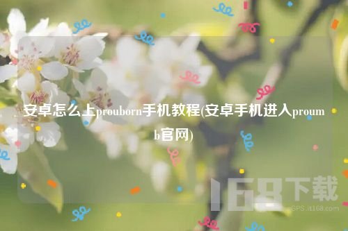 proumb安卓版欧美繁星汉化rpg安卓直装游戏-第2张图片-太平洋在线下载